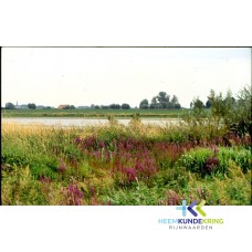 Rijn F00001710